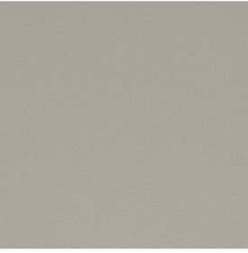 9211 Nickel swatch